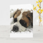 St Bernard Dog Grußkarte Karte (Gelbe Blume)