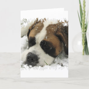 St Bernard Dog Grußkarte Karte