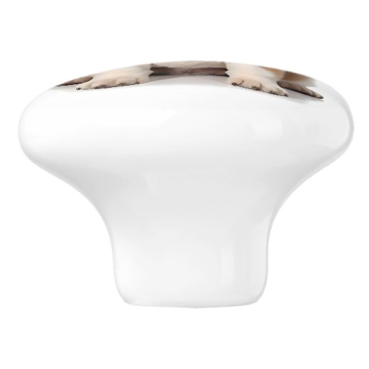 St. Bernard Dog Keramikknauf (Seitenansicht)