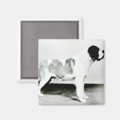 St. Bernard Dog Magnet (Vorderseite/Rückseite)