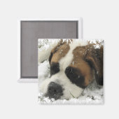 St Bernard Dog Magnet (Vorderseite/Rückseite)