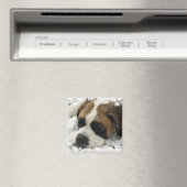 St Bernard Dog Magnet (In Situ (Geschirrspüler))