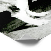 St. Bernard Dog Poster (Ecke)