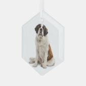 St. Bernard Dog Tier Ornament Aus Glas (Vorderseite Links)