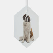 St. Bernard Dog Tier Ornament Aus Glas (Vorderseite Rechts)