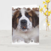 St Bernard Grußkarte Karte (Gelbe Blume)
