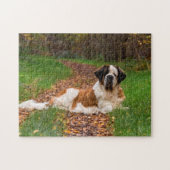 St. Bernard Hund im Herbst Puzzle (Horizontal)