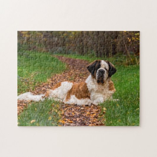 St. Bernard Hund im Herbst Puzzle (Horizontal)
