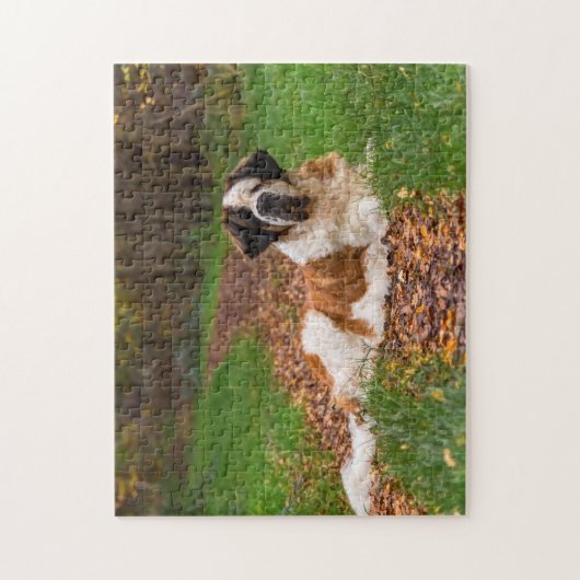 St. Bernard Hund im Herbst Puzzle (Vertikal)