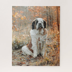 St. Bernard Hund im Herbstwald Puzzle