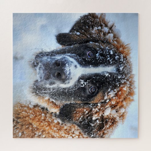 St. Bernard im Schnee Puzzle (Horizontal)