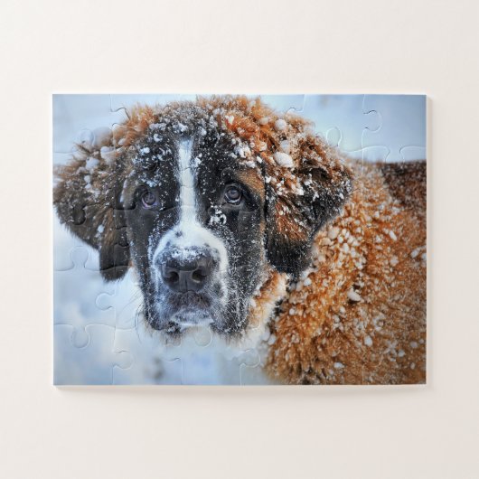 St. Bernard im Schnee Puzzle (Horizontal)