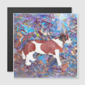 St. Bernard Magnetkarte (Vorne/Hinten)
