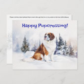 St. Bernard Pupcross - Postkarte (Vorne/Hinten)