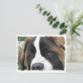 St Bernard Puppies Postcard Postkarte (Stehend Vorderseite)