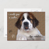 St Bernard Puppy Cookie Postkarte (Vorne/Hinten)