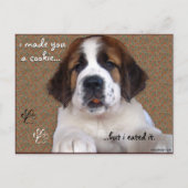 St Bernard Puppy Cookie Postkarte (Vorderseite)