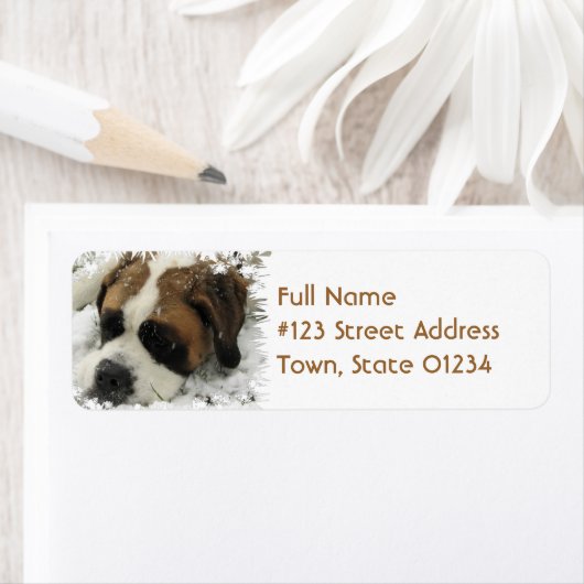 St Bernard Rücksendeadresse (Insitu)