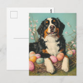 St. Bernard Vintag Oster Postkarte (Vorne/Hinten)