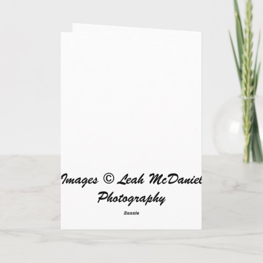 St. Bernard Weihnachtskarte Feiertagskarte (Rückseite)