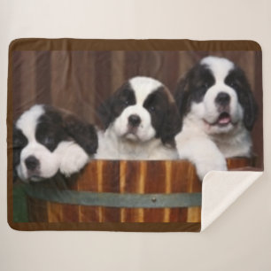 ST.BERNARD-WELPEN SHERPADECKE