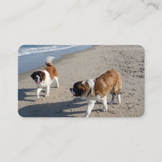 St.Bernards auf den Beach Business Cards Visitenkarte (Vorderseite)