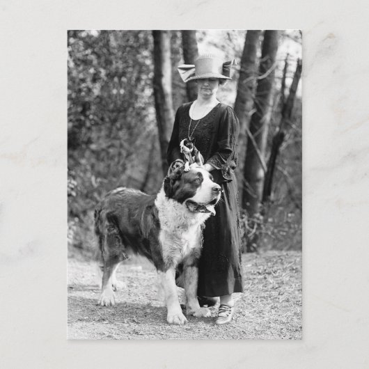 St. Bernhard & Boston Terrier, 1925 Postkarte (Vorderseite)