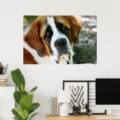 St.-Bernhard-Hund Poster (Heimbüro)