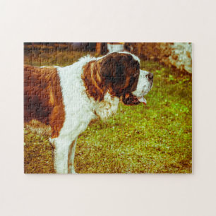 St.-Bernhard-Hund Puzzles. Puzzle