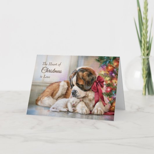 St. Bernhard Katzenkind Weihnachten (Vorderseite)