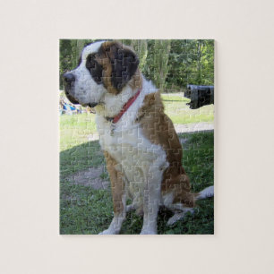 St. Bernhard sitzend 2 Puzzle