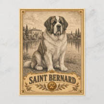 St. Bernhard, Vintage Heritage Hund