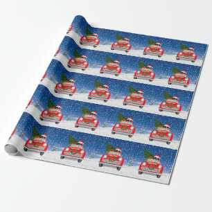 St. Bernhardshund fährt Auto im Schnee Weihnachten Geschenkpapier