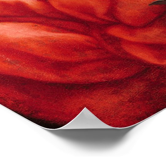 St. Catherine - Lorenzo Lotto America Poster (Ecke)