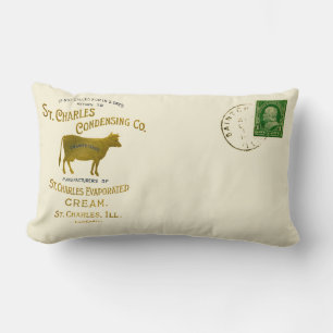 St Charles Illinois DAIRY COW MILK CREAM 1899 Lendenkissen
