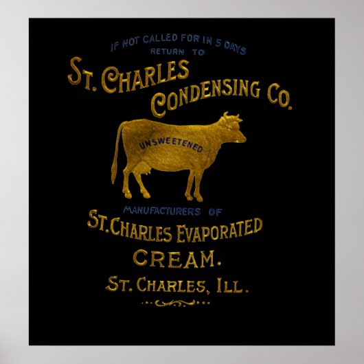 St Charles Illinois DAIRY COW MILK CREAM 1899 Poster (Vorne)
