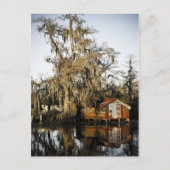 St. Charles Parish Swamp Reflektionen Postkarte (Vorderseite)