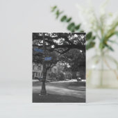 St Charles und Henry Clay Postkarte (Stehend Vorderseite)