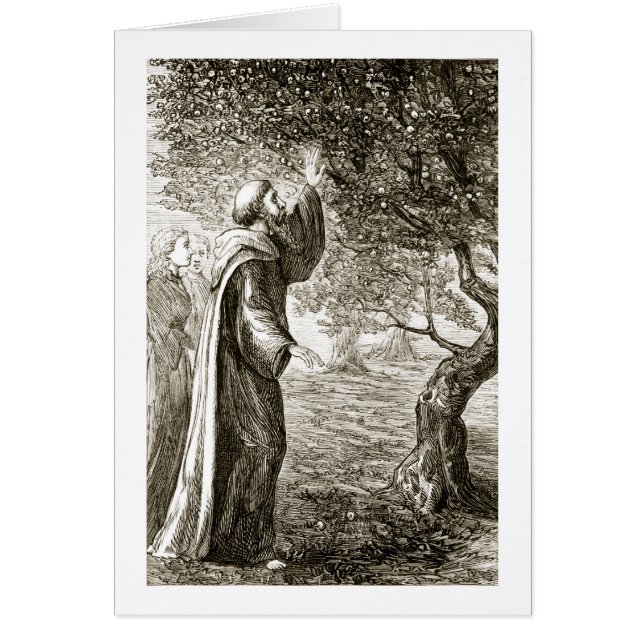 St. Columba ändert bittere Frucht in Bonbon, von (Vorne)
