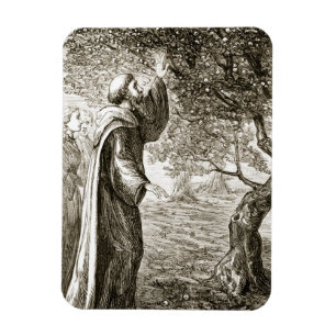 St. Columba ändert bittere Frucht in Bonbon, von Magnet