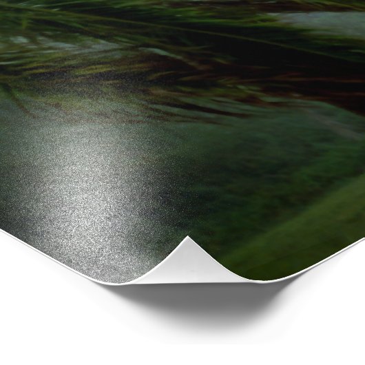 St. Croix Tempest Fotodruck (Ecke)