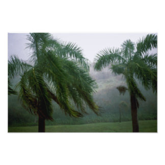 St. Croix Tempest Fotodruck