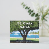 St. Croix US.V.I. Postkarte (Stehend Vorderseite)