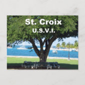 St. Croix US.V.I. Postkarte (Vorderseite)
