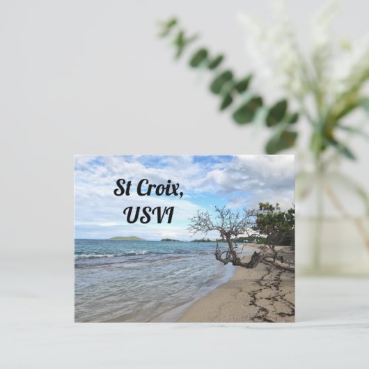 St Croix USVI Postkarte (Stehend Vorderseite)