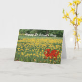 St David Tagesnarzissen Karte (Gelbe Blume)