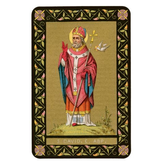 St. David von Wales (P 001) Magnet (Vertikal)