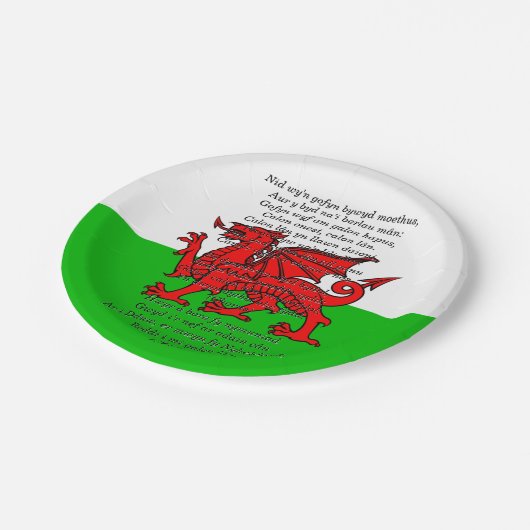 St Davids Day Christmas Calon Lân 7" Pappteller (Schrägansicht)
