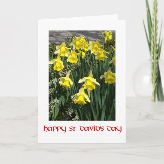 St David's Day Daffodils Grußkarte Karte (Vorderseite)