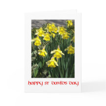 St David's Day Daffodils Grußkarte